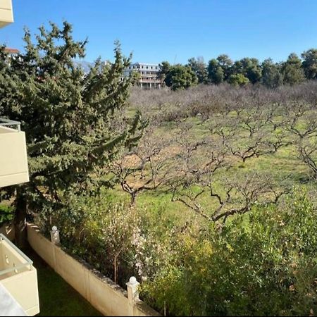 Appartamento Filoxenia House Marousi -Private Parking- Atene Esterno foto