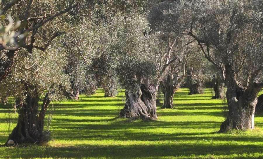 Appartamento Filoxenia House Marousi -Private Parking- Atene Esterno foto